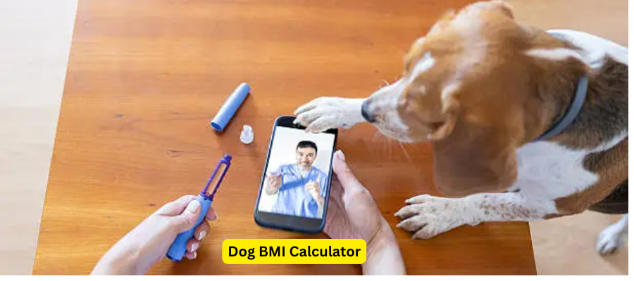 Dog BMI calculator concept showing a dog being measured for weight and height.